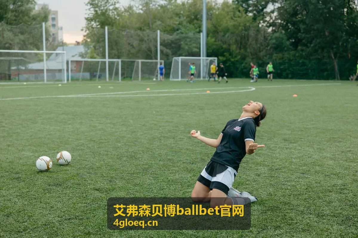 艾弗森贝博ballbet多端同步功能示意